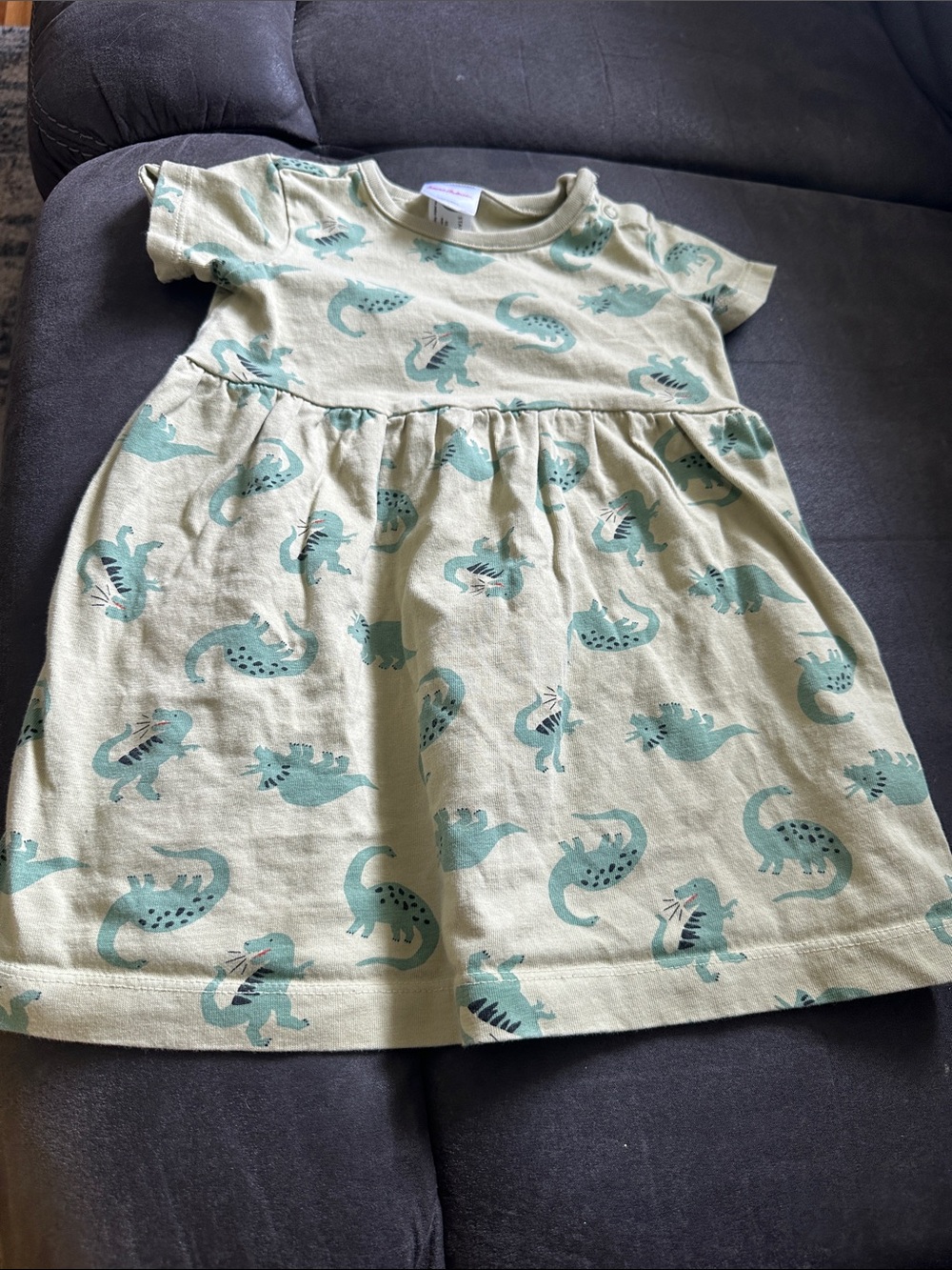 Hanna Andersson Green Dino Print Cotton Dress
